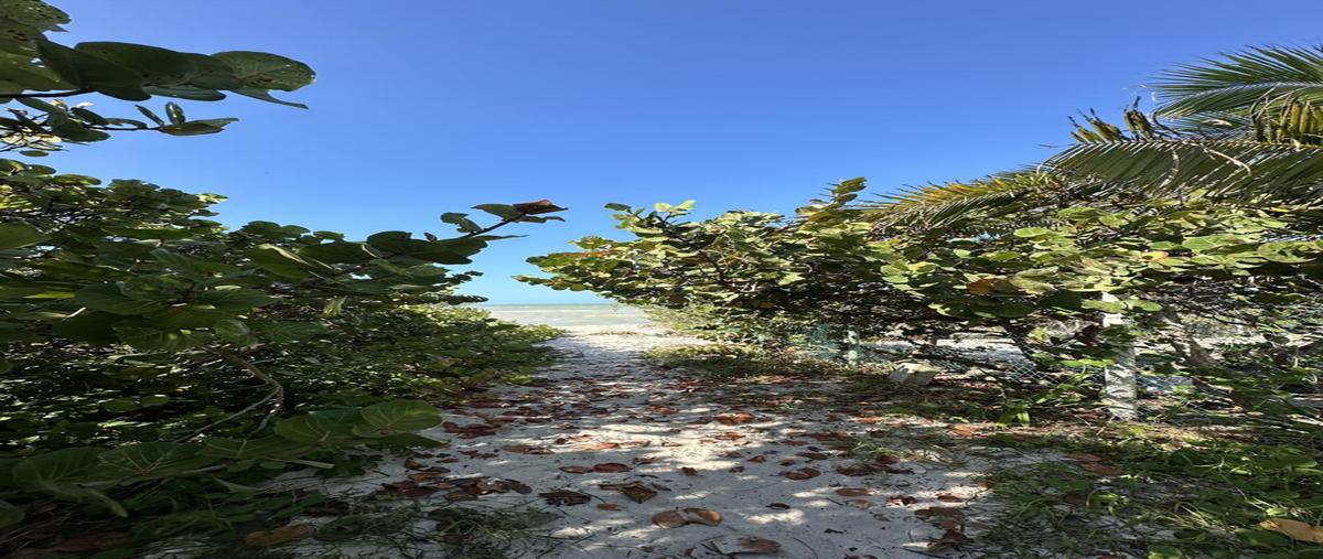 Foto de terreno habitacional en venta en  , sisal, hunucmá, yucatán, 30711225 No. 05