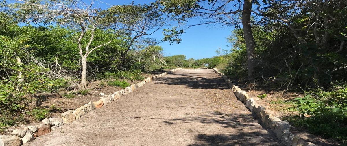 Foto de terreno habitacional en venta en  , sisal, hunucmá, yucatán, 30711228 No. 04