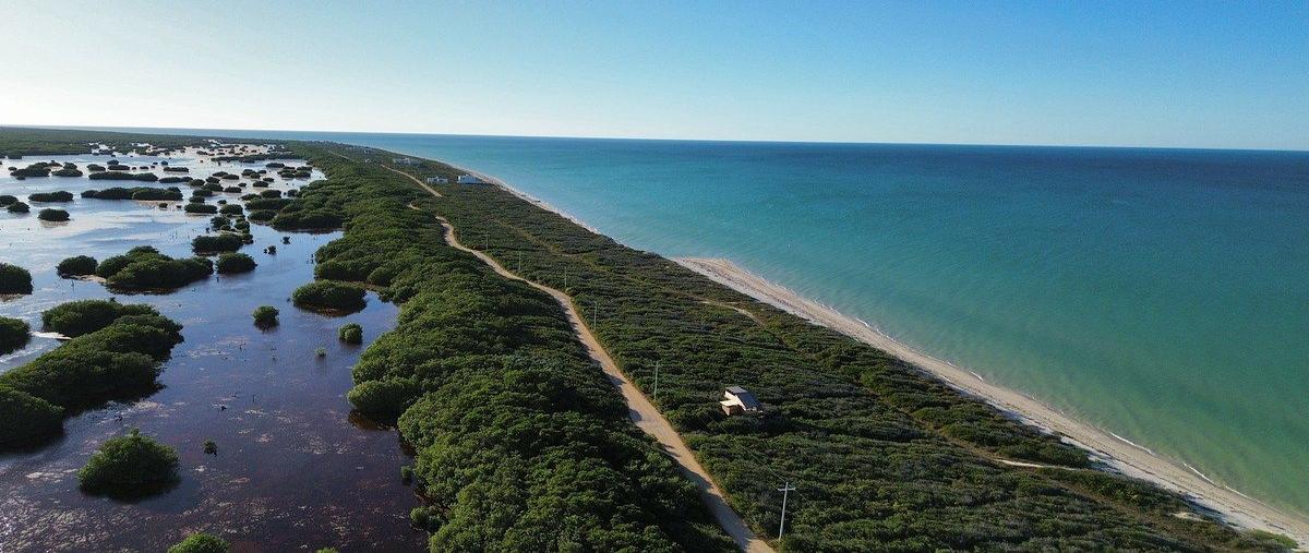 Foto de terreno habitacional en venta en  , sisal, hunucmá, yucatán, 0 No. 04