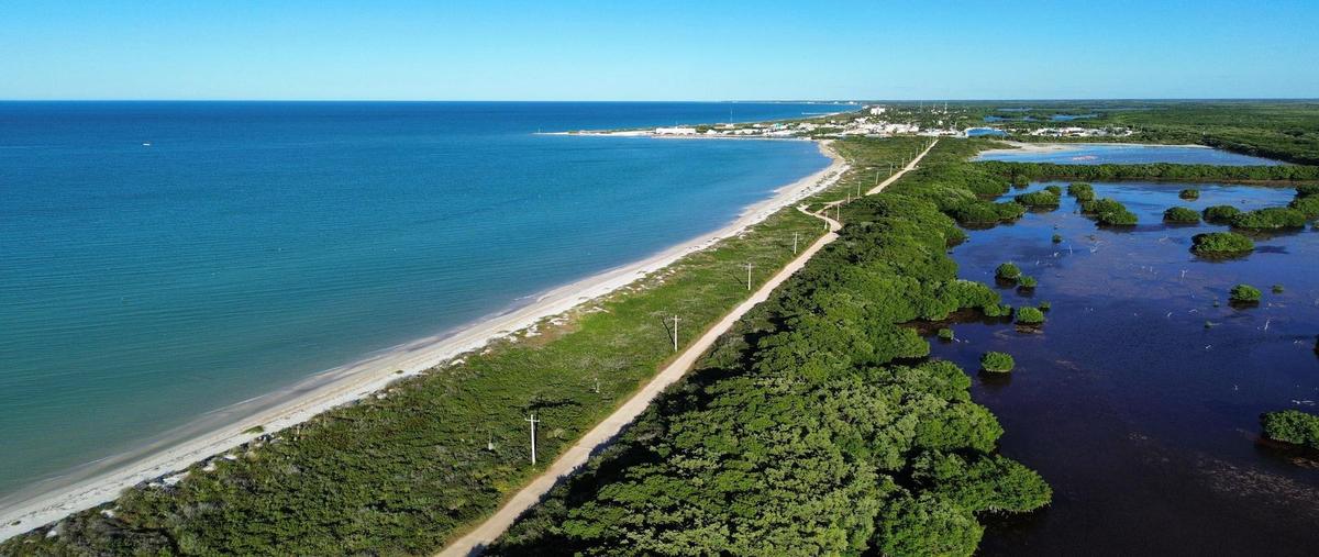 Foto de terreno habitacional en venta en  , sisal, hunucmá, yucatán, 0 No. 05
