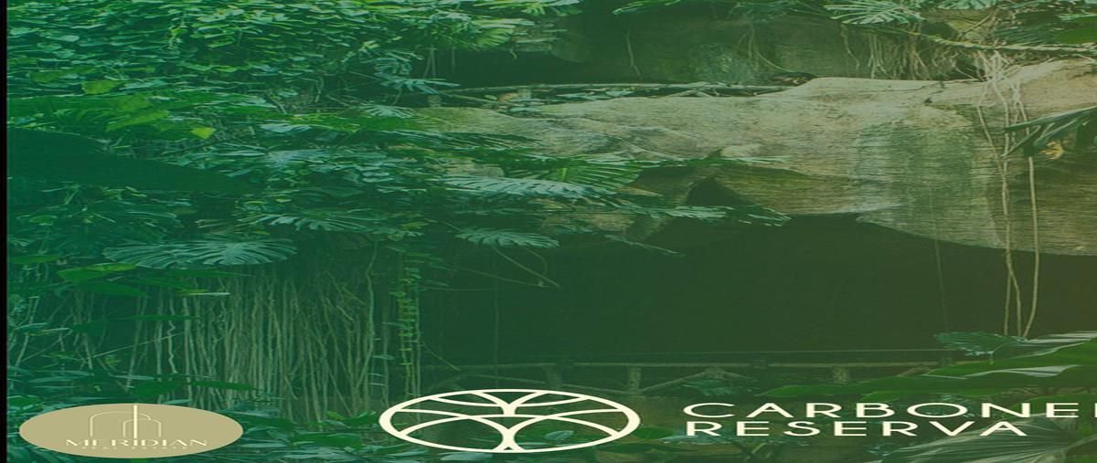 Foto de terreno habitacional en , sisal, hunucmá, yucatán, 0 foto 01 Foto de terreno habitacional en venta en , sisal, hunucmá, yucatán, 0 No. 01