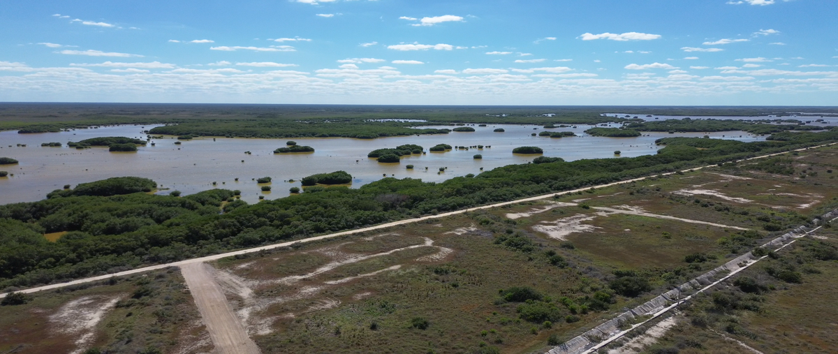 Foto de terreno habitacional en , sisal, hunucmá, yucatán, 30902920 foto 05 Foto de terreno habitacional en venta en , sisal, hunucmá, yucatán, 30902920 No. 05