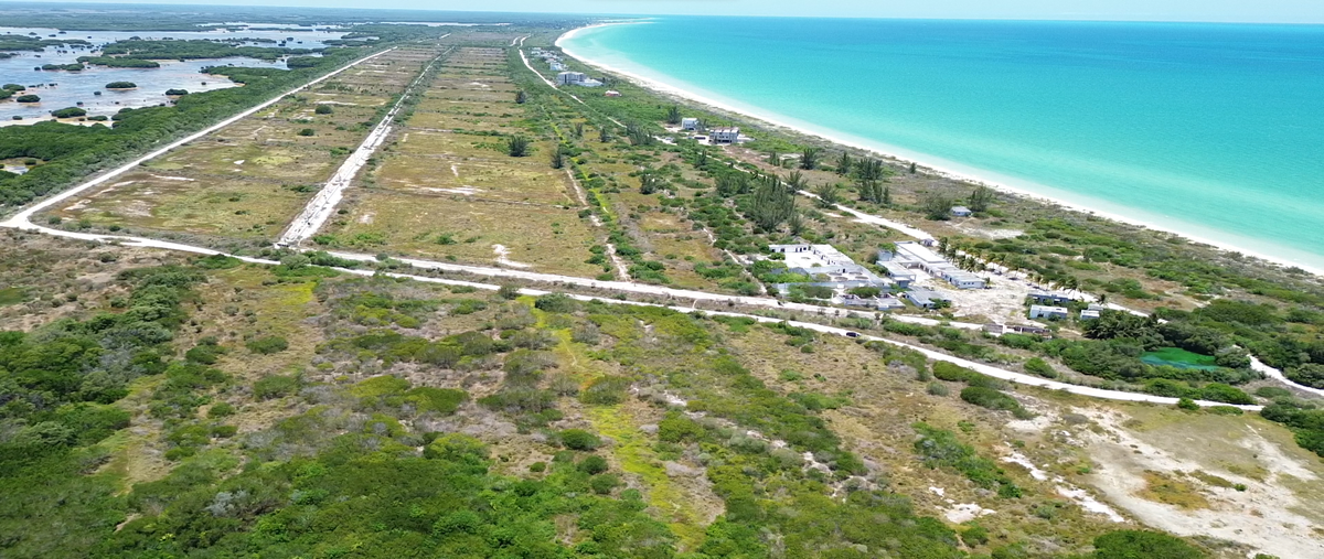 Foto de terreno habitacional en , sisal, hunucmá, yucatán, 0 foto 01 Foto de terreno habitacional en venta en , sisal, hunucmá, yucatán, 0 No. 01