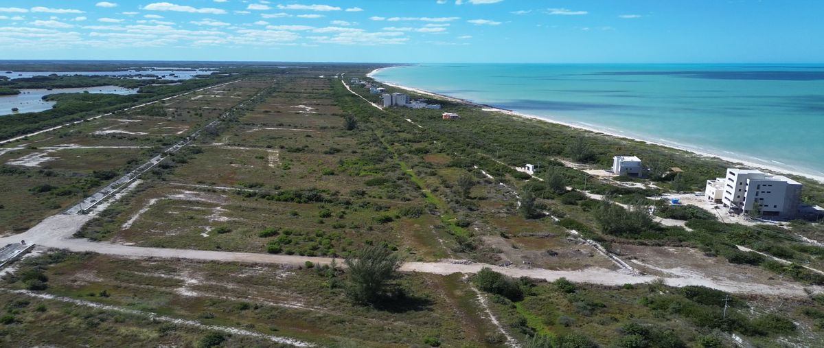 Foto de terreno habitacional en , sisal, hunucmá, yucatán, 0 foto 05 Foto de terreno habitacional en venta en , sisal, hunucmá, yucatán, 0 No. 05