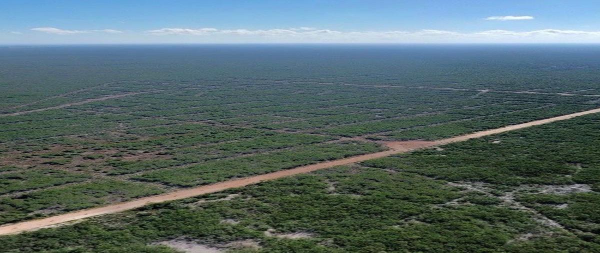 Foto de terreno habitacional en venta en  , sisal, hunucmá, yucatán, 0 No. 03