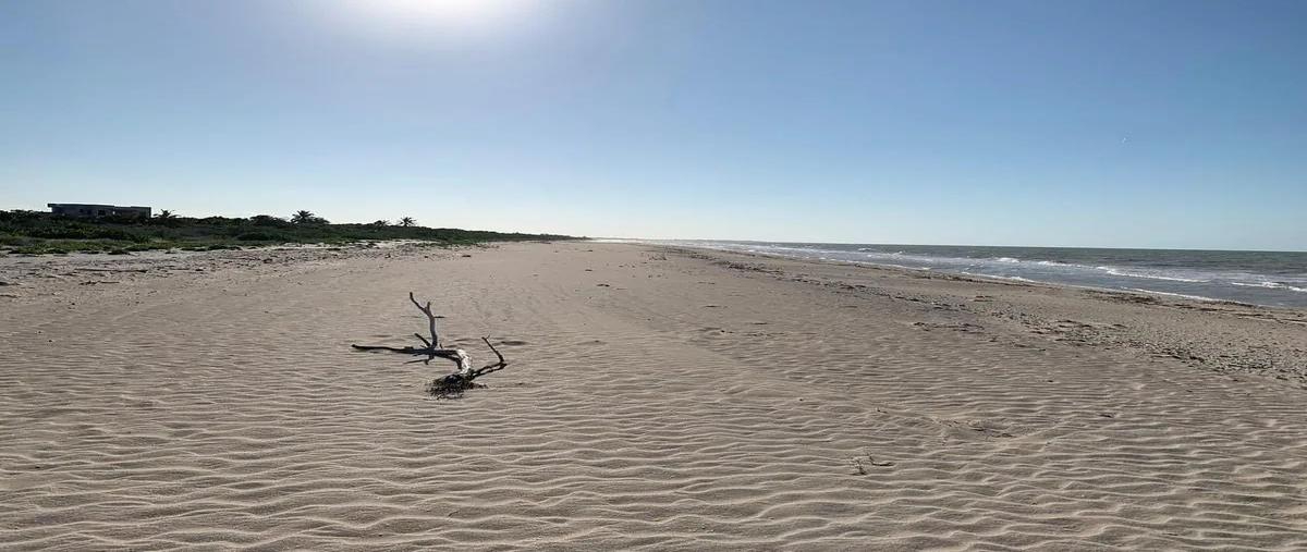 Foto de terreno habitacional en venta en  , sisal, hunucmá, yucatán, 0 No. 03