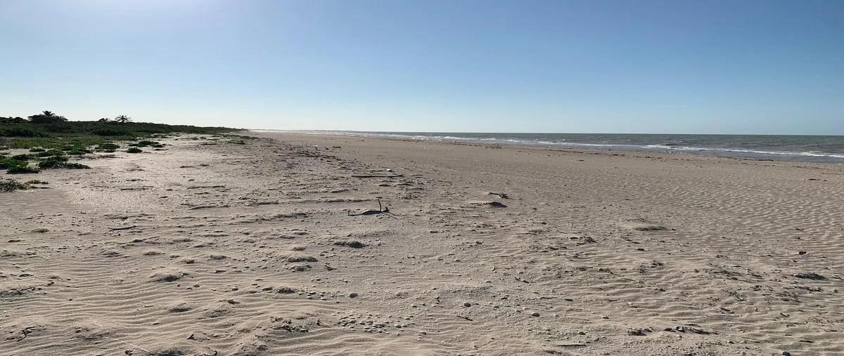 Foto de terreno habitacional en venta en  , sisal, hunucmá, yucatán, 0 No. 04