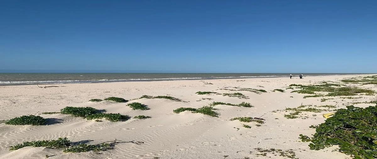 Foto de terreno habitacional en venta en  , sisal, hunucmá, yucatán, 0 No. 05