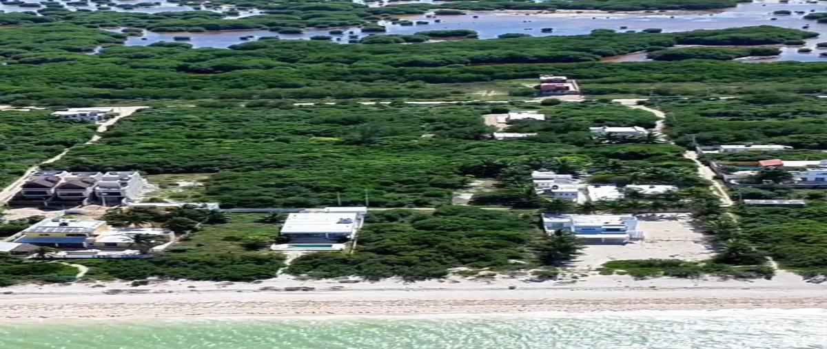 Foto de terreno habitacional en venta en  , sisal, hunucmá, yucatán, 0 No. 03