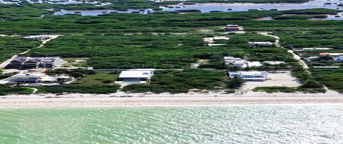 Foto de terreno habitacional en venta en  , sisal, hunucmá, yucatán, 0 No. 05