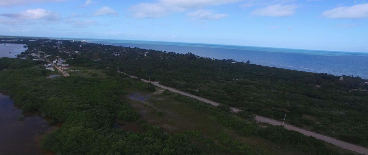 Foto de terreno habitacional en sisal, hunucmá, yucatán , sisal, hunucmá, yucatán, 0 foto 01 Foto de terreno habitacional en venta en sisal, hunucmá, yucatán , sisal, hunucmá, yucatán, 0 No. 01