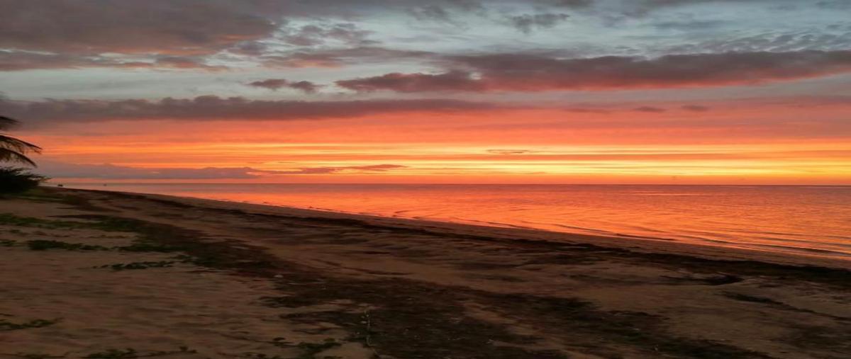 Foto de terreno habitacional en sisal , sisal, hunucmá, yucatán, 28442216 foto 01 Foto de terreno habitacional en venta en sisal , sisal, hunucmá, yucatán, 28442216 No. 01