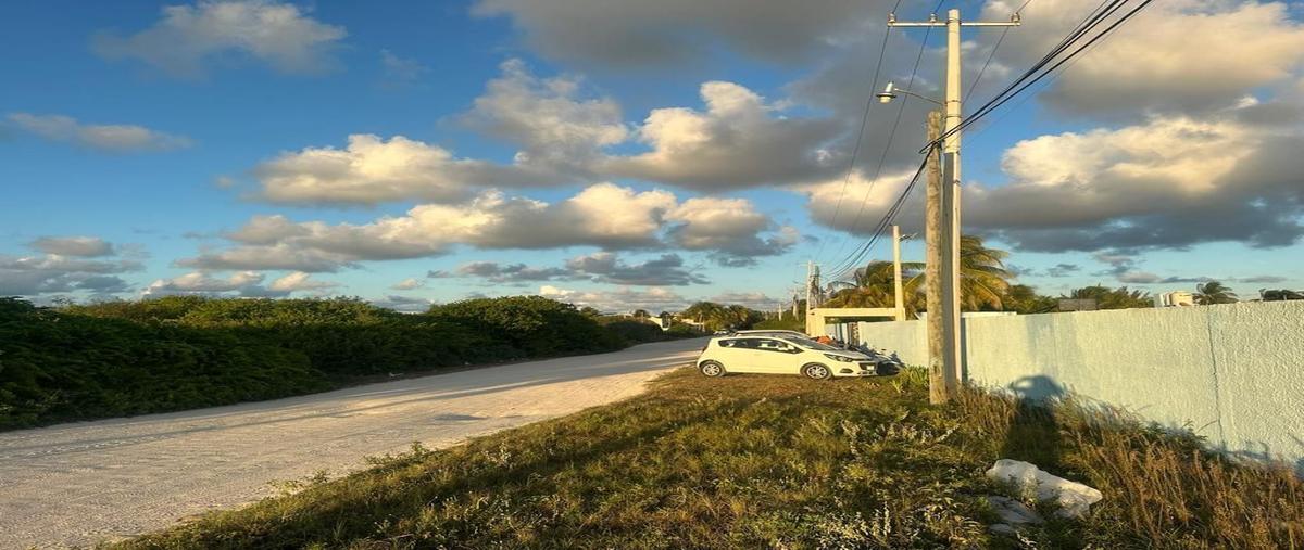 Foto de terreno habitacional en sisal , sisal, hunucmá, yucatán, 28442216 foto 04 Foto de terreno habitacional en venta en sisal , sisal, hunucmá, yucatán, 28442216 No. 04