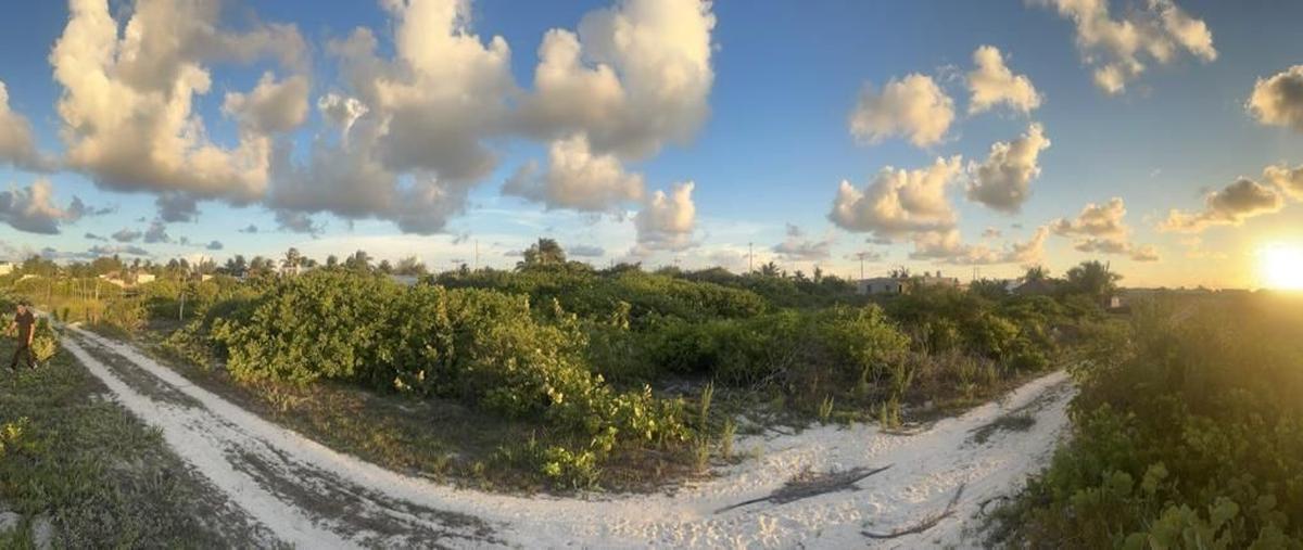 Foto de terreno habitacional en sisal , sisal, hunucmá, yucatán, 28442216 foto 05 Foto de terreno habitacional en venta en sisal , sisal, hunucmá, yucatán, 28442216 No. 05