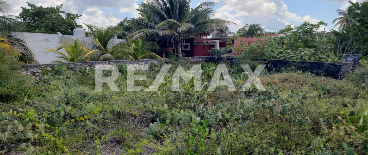 Foto de terreno habitacional en venta en sisal , sisal, hunucmá, yucatán, 0 No. 05