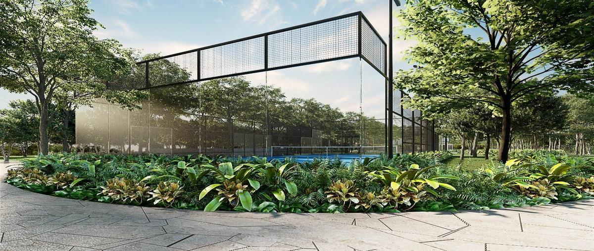 Foto de terreno habitacional en sisal whi273064, sisal, hunucmá, yucatán, 22529052 foto 02 Foto de terreno habitacional en venta en sisal whi273064, sisal, hunucmá, yucatán, 22529052 No. 02