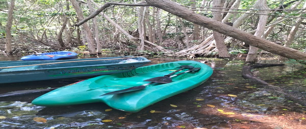 Foto de terreno habitacional en venta en sisal whi296915, sisal, hunucmá, yucatán, 26478431 No. 04