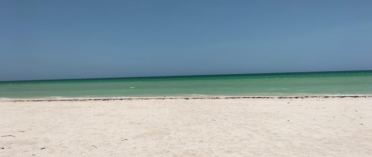 Foto de terreno habitacional en venta en sisal whi296915, sisal, hunucmá, yucatán, 26478431 No. 05