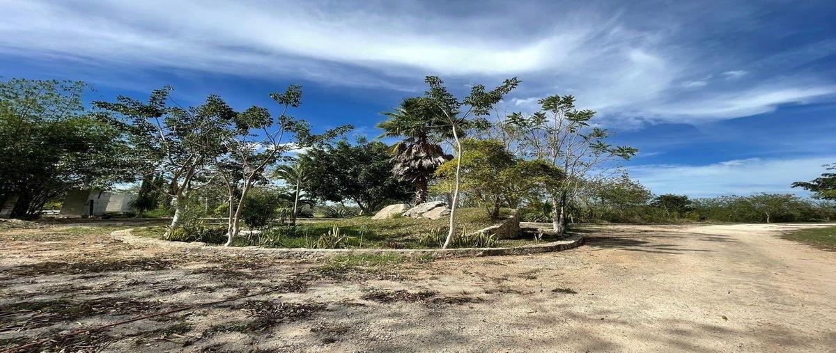 Foto de terreno habitacional en venta en  , sitpach, mérida, yucatán, 0 No. 03