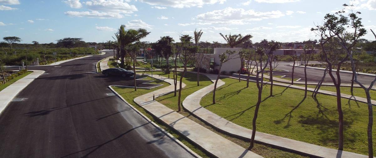 Foto de terreno habitacional en venta en  , sitpach, mérida, yucatán, 27315596 No. 05