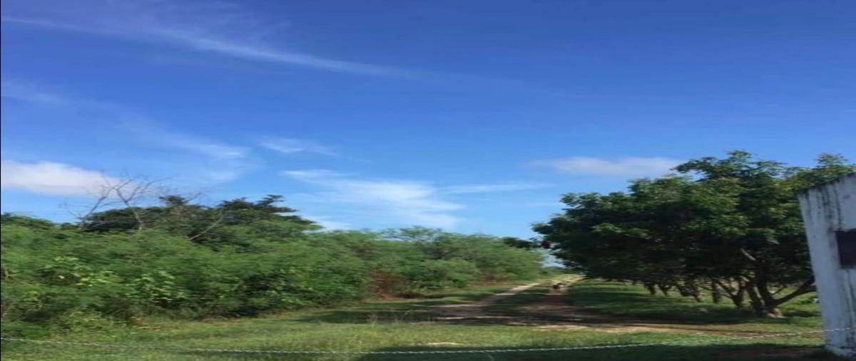 Foto de terreno habitacional en venta en  , sitpach, mérida, yucatán, 27714977 No. 04