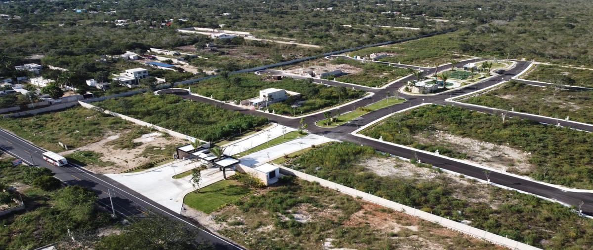 Foto de terreno habitacional en venta en  , sitpach, mérida, yucatán, 0 No. 05