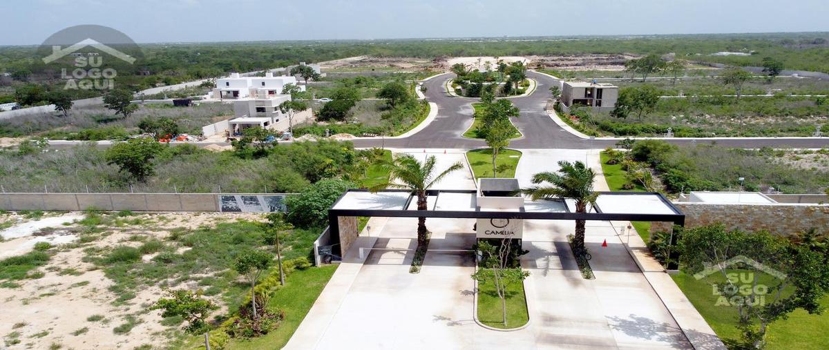 Foto de terreno habitacional en venta en  , sitpach, mérida, yucatán, 29336163 No. 03
