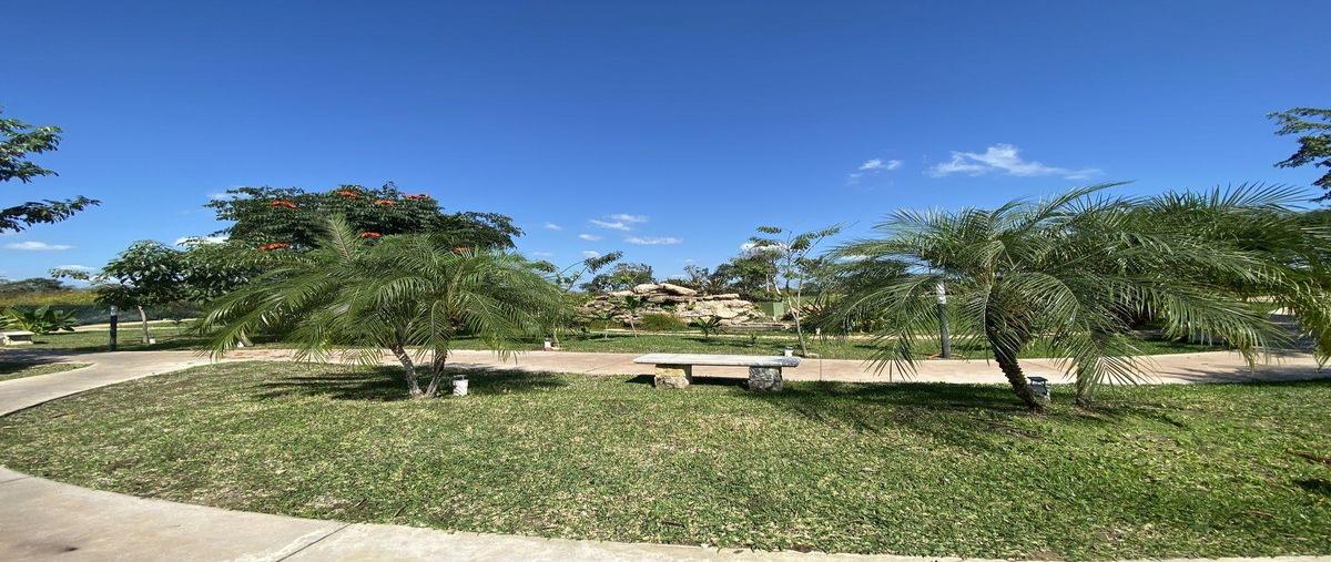 Foto de casa en venta en  , sitpach, mérida, yucatán, 0 No. 05