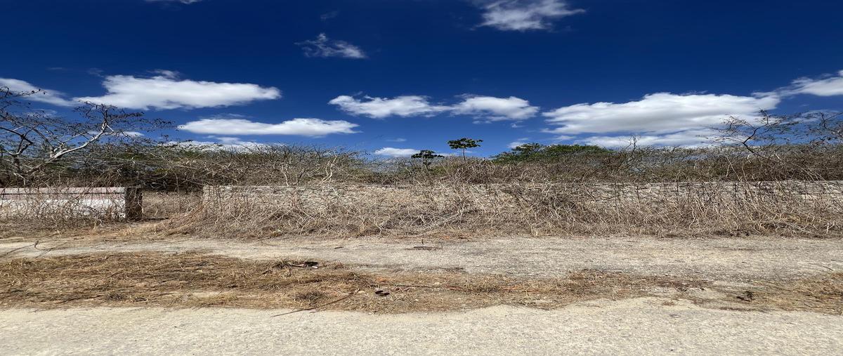 Foto de terreno habitacional en venta en  , sitpach, mérida, yucatán, 0 No. 03