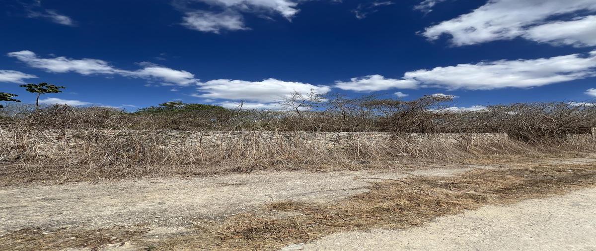 Foto de terreno habitacional en venta en  , sitpach, mérida, yucatán, 0 No. 04