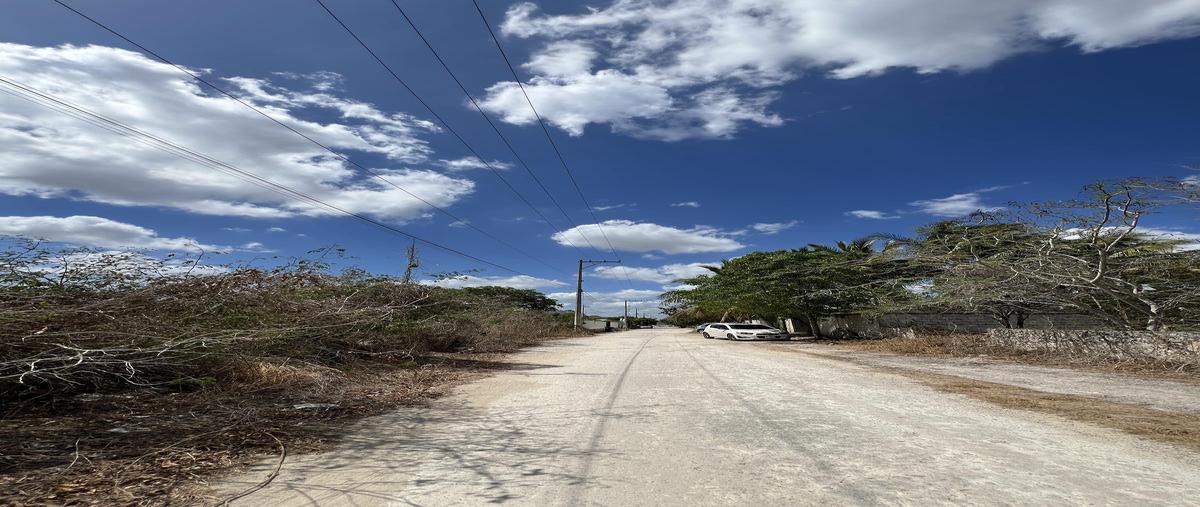 Foto de terreno habitacional en venta en  , sitpach, mérida, yucatán, 0 No. 04