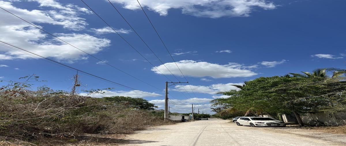 Foto de terreno habitacional en venta en  , sitpach, mérida, yucatán, 0 No. 05