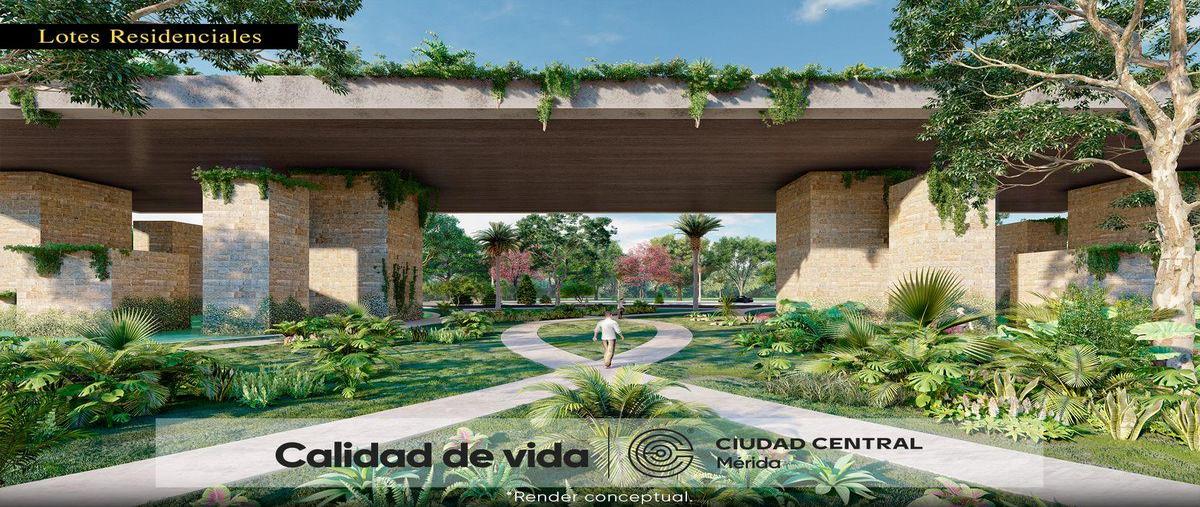 Foto de terreno habitacional en venta en  , sitpach, mérida, yucatán, 0 No. 04