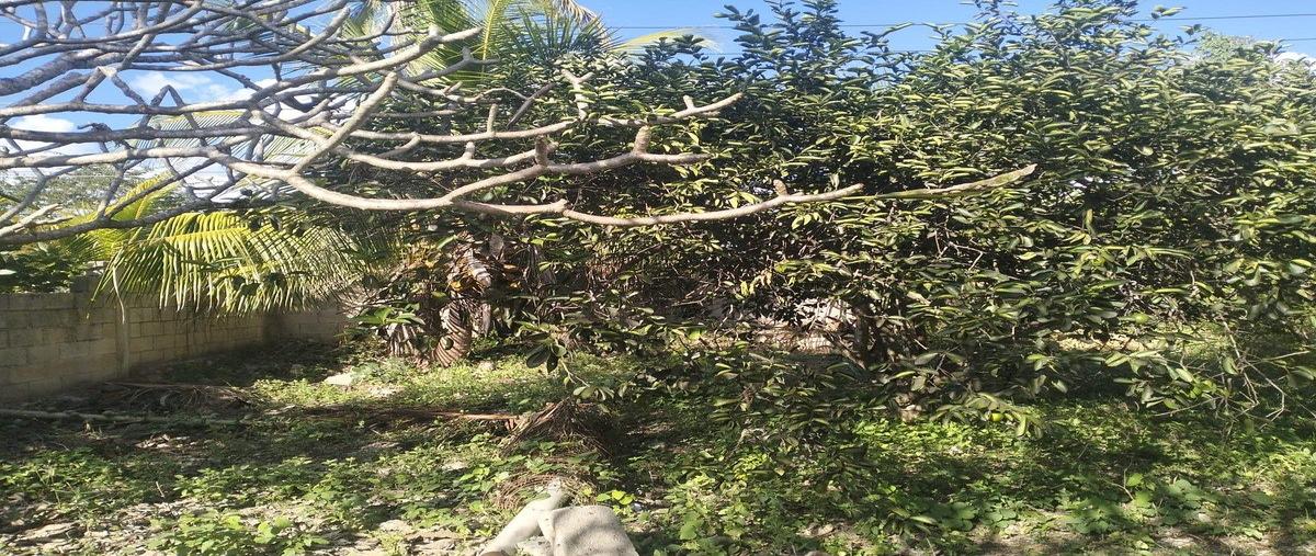 Foto de terreno habitacional en , sitpach, mérida, yucatán, 0 foto 02 Foto de terreno habitacional en venta en , sitpach, mérida, yucatán, 0 No. 02