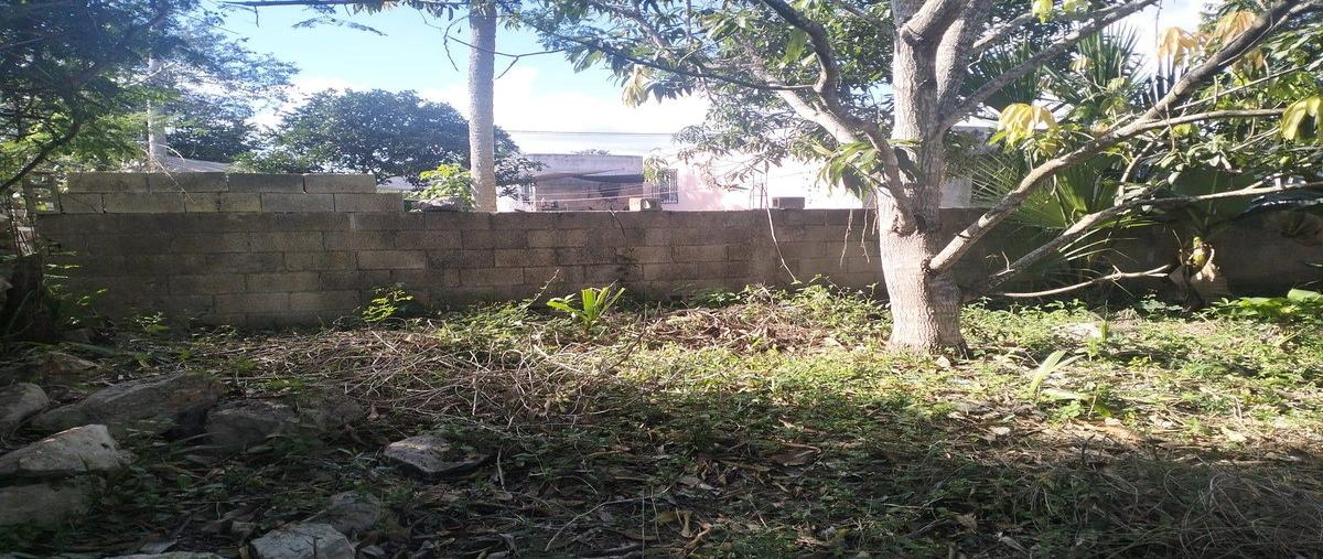 Foto de terreno habitacional en , sitpach, mérida, yucatán, 0 foto 03 Foto de terreno habitacional en venta en , sitpach, mérida, yucatán, 0 No. 03