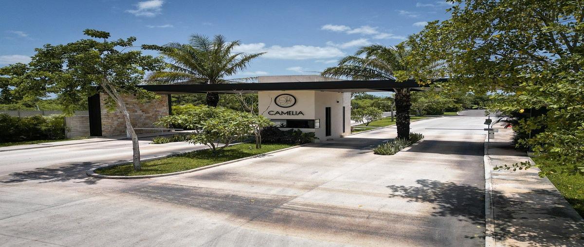 Foto de terreno habitacional en venta en  , sitpach, mérida, yucatán, 0 No. 03
