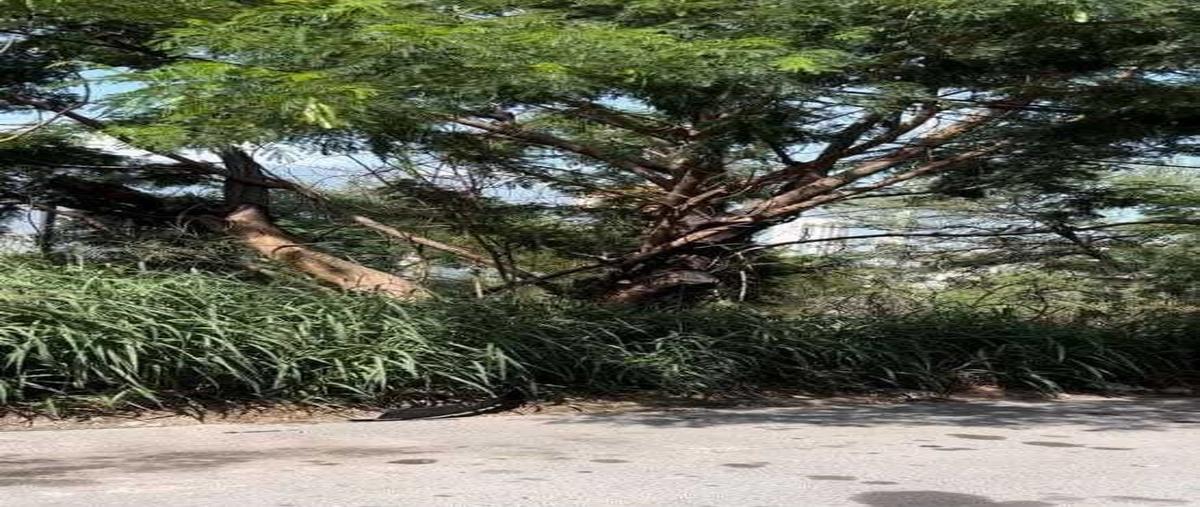 Foto de terreno habitacional en venta en sl , residencial santa bárbara, san pedro garza garcía, nuevo león, 29876455 No. 04