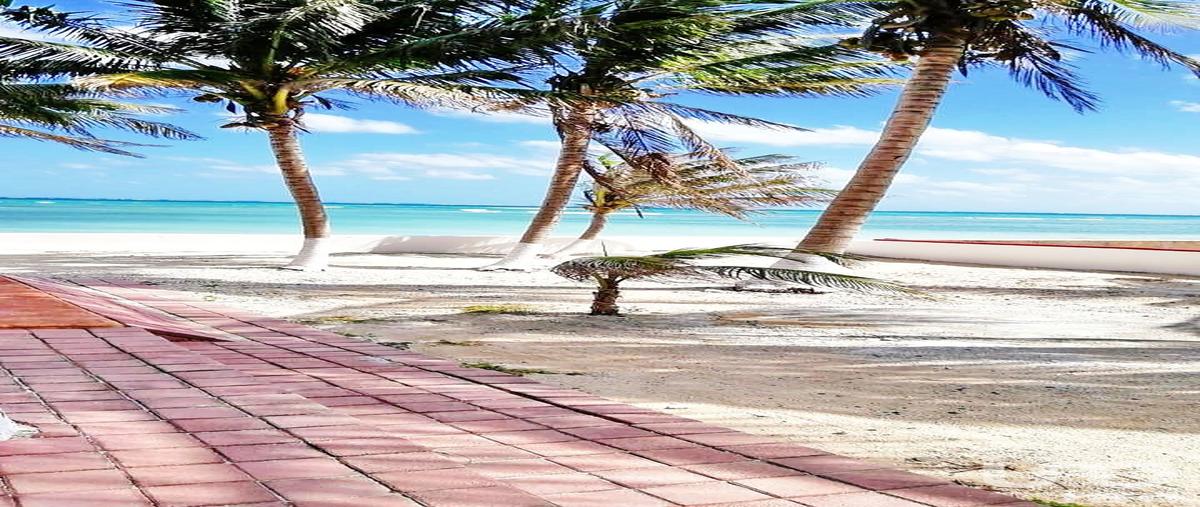 Foto de terreno comercial en venta en sm 15 , puerto morelos, puerto morelos, quintana roo, 28722567 No. 03