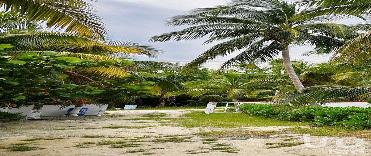 Foto de terreno comercial en venta en sm 15 , puerto morelos, puerto morelos, quintana roo, 28722567 No. 04