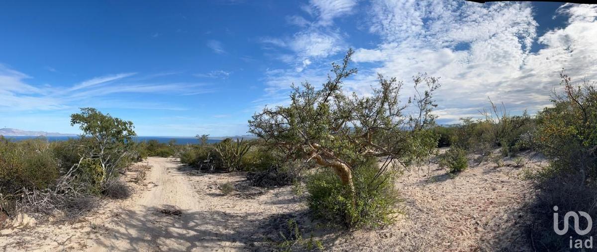 Foto de terreno habitacional en venta en s/n 194, el sargento, la paz, baja california sur, 30822222 No. 03