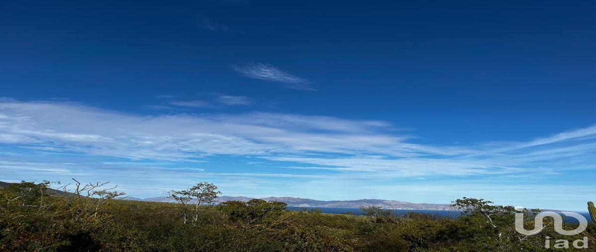 Foto de terreno habitacional en venta en s/n 194, el sargento, la paz, baja california sur, 30822222 No. 04
