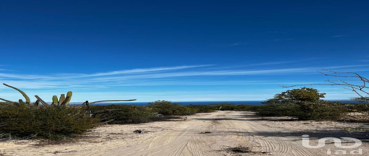 Foto de terreno habitacional en venta en s/n 194, el sargento, la paz, baja california sur, 30822222 No. 05