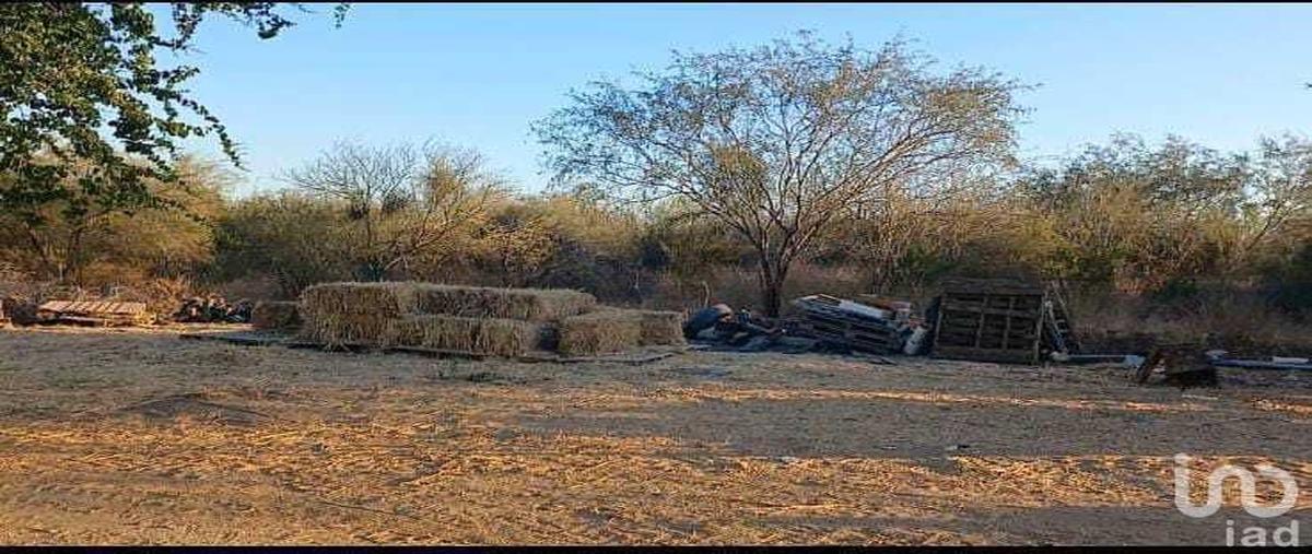 Foto de terreno habitacional en venta en sn 62, chametla, la paz, baja california sur, 30513523 No. 03