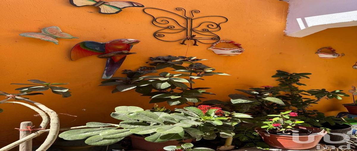 Foto de casa en venta en sn 76, balandra, la paz, baja california sur, 30545696 No. 03