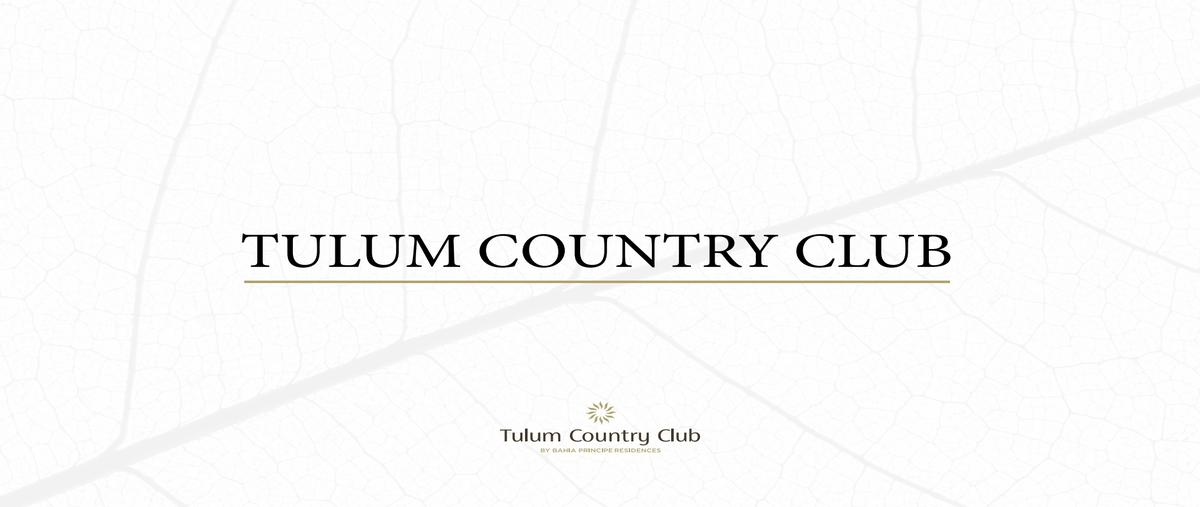 Foto de terreno habitacional en venta en s/n , akumal, tulum, quintana roo, 0 No. 05