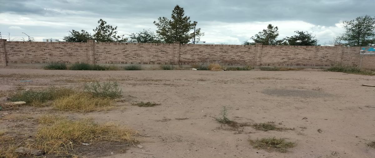 Foto de terreno habitacional en venta en s/n , altozano la nueva laguna, gómez palacio, durango, 30299085 No. 05