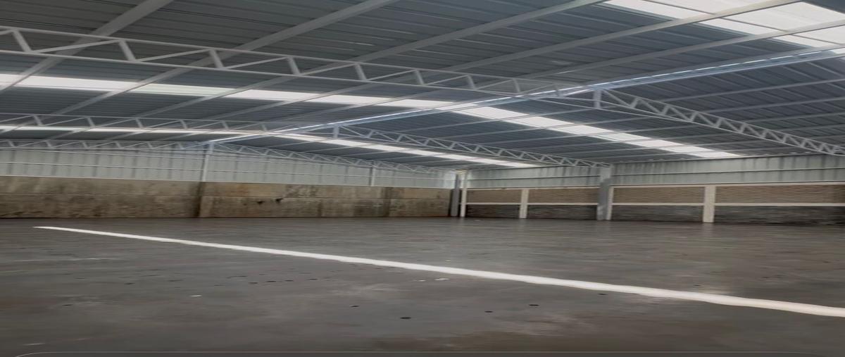 Foto de bodega en venta en s/n , apo, tancítaro, michoacán de ocampo, 28555779 No. 05