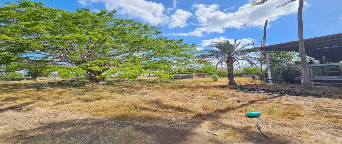 Foto de rancho en venta en s/n , baca, baca, yucatán, 0 No. 04