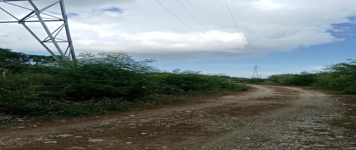 Foto de terreno habitacional en venta en sn , campestre flamboyanes, progreso, yucatán, 27074590 No. 05