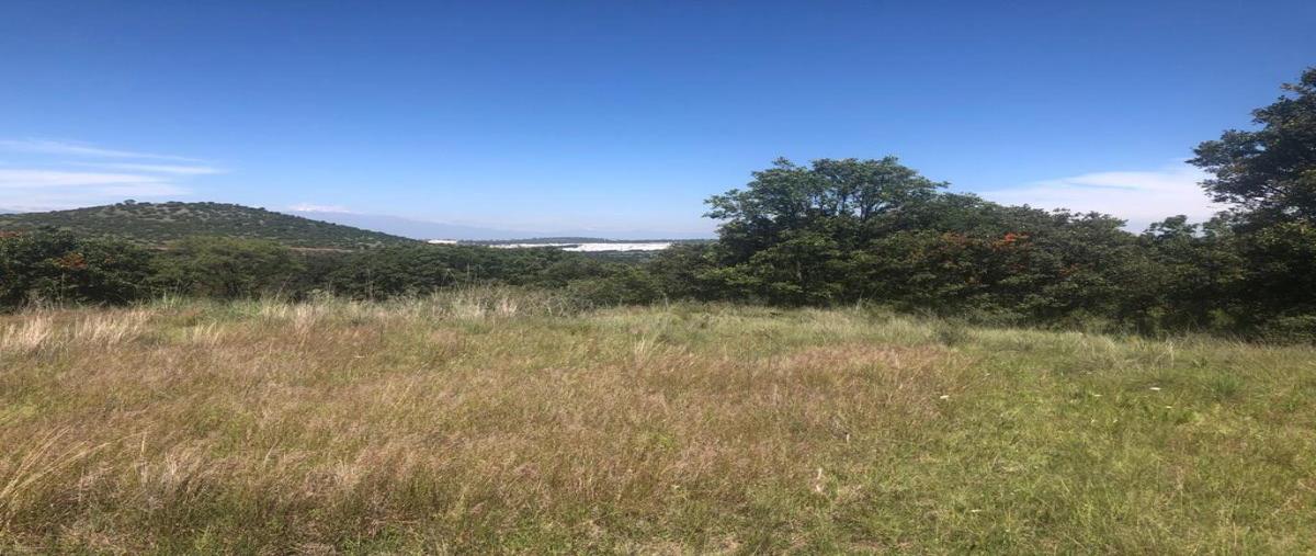 Foto de terreno habitacional en venta en s/n , campestre haras, amozoc, puebla, 27415887 No. 03